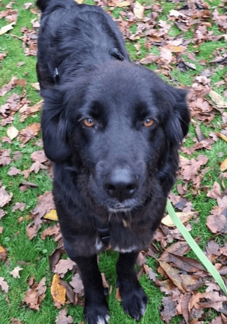 2025 11 21 11 26 21 Posteingang Sina.Rieke Kroeger@oetker.com Outlook