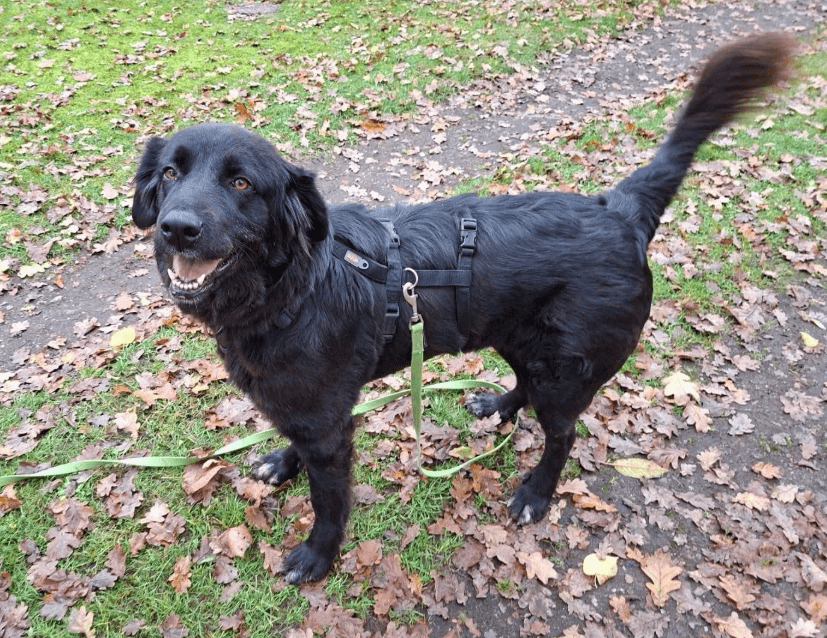 2025 11 21 11 26 27 Posteingang Sina.Rieke Kroeger@oetker.com Outlook