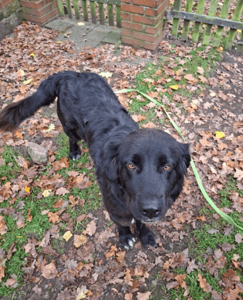 2025 11 21 11 26 34 Posteingang Sina.Rieke Kroeger@oetker.com Outlook