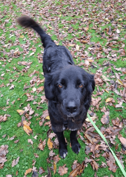 2025 11 21 11 26 39 Posteingang Sina.Rieke Kroeger@oetker.com Outlook