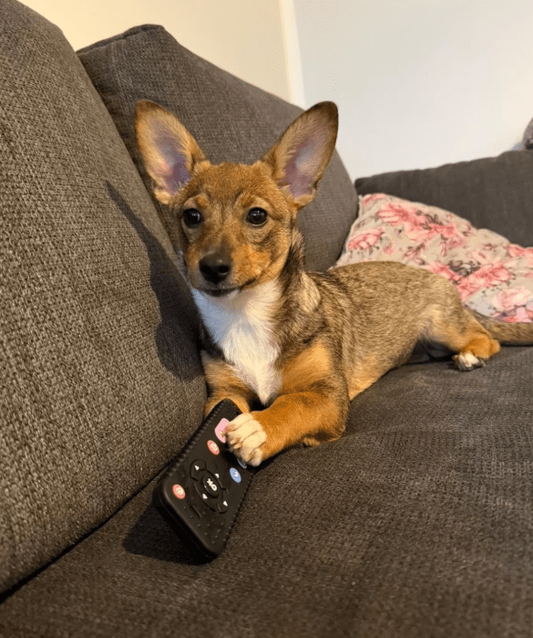 2026 03 03 13 07 52 SMC2SAPEmarsys Use Cases.pptx Zuletzt vom Benutzer gespeichert PowerPoint