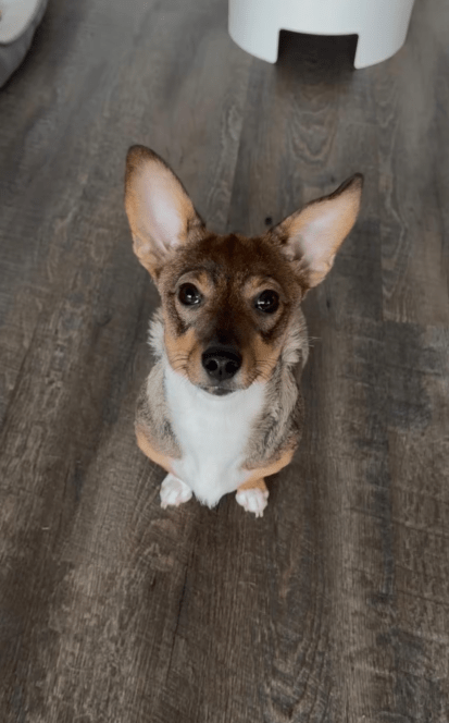 2026 03 03 13 07 55 SMC2SAPEmarsys Use Cases.pptx Zuletzt vom Benutzer gespeichert PowerPoint