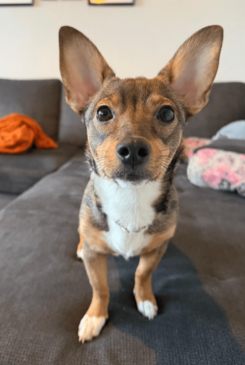 2026 03 03 13 08 00 SMC2SAPEmarsys Use Cases.pptx Zuletzt vom Benutzer gespeichert PowerPoint