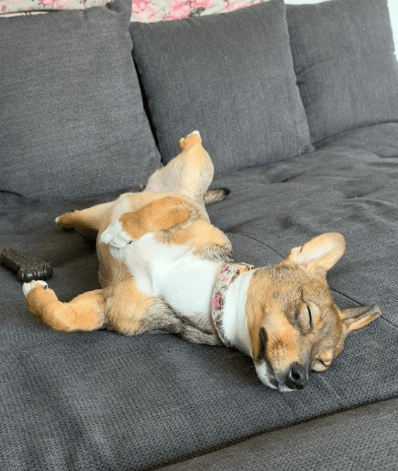 2026 03 03 13 08 05 SMC2SAPEmarsys Use Cases.pptx Zuletzt vom Benutzer gespeichert PowerPoint