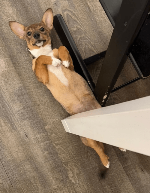 2026 03 03 13 08 16 SMC2SAPEmarsys Use Cases.pptx Zuletzt vom Benutzer gespeichert PowerPoint