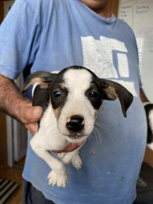 514335871 24611451085162153 3416663269088453143 n