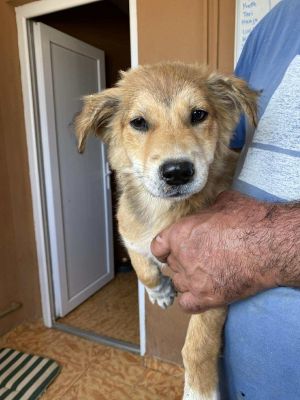 521643098 2823022521229646 8883634310119446753 n