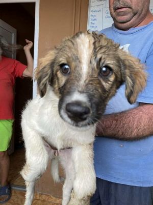 535545980 24425819087058688 6170944940035721451 n