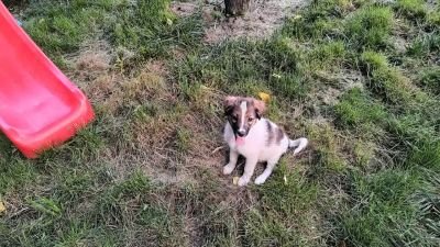 536172219 24425819370391993 2039164037506784964 n