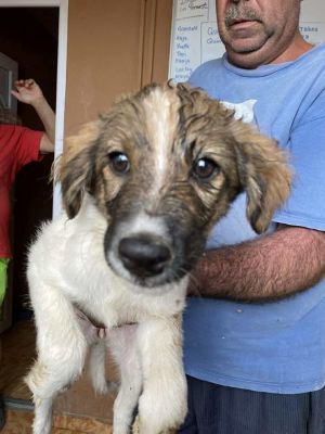 537532807 24425819070392023 8039729086443879677 n