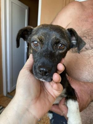 538442873 1094822279459744 8970847436624578817 n