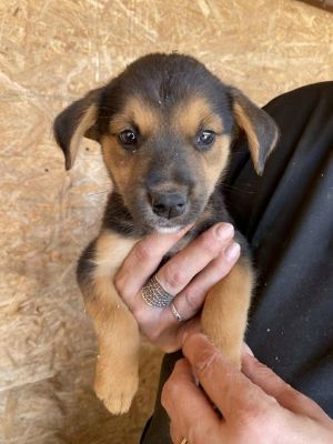 539136089 24477193798587883 8319128405788808266 n