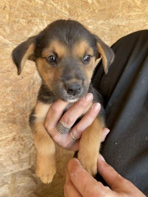 539661656 24477193735254556 3034268207654821515 n