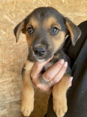 540347990 24477193241921272 5683247788245430065 n