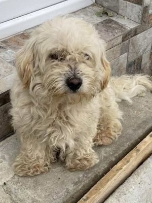 540493415 24476460955327834 3059443748723716003 n