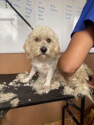 540976856 24476459928661270 3736566447067426132 n