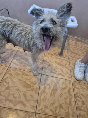 540993838 30981669464813082 7681060537915807032 n