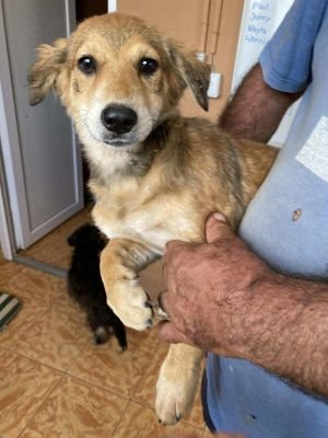 541124965 1291963582400383 8739731032776574541 n