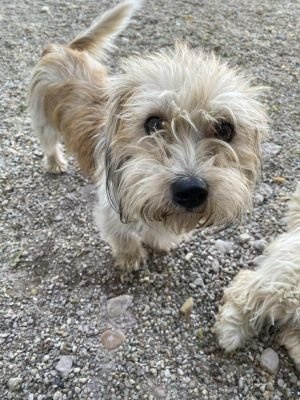 541167783 654095647285361 1876994228213862480 n