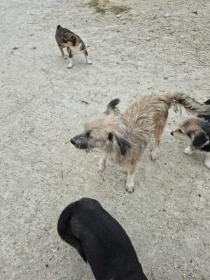 541185643 1991559848334874 8961957434833237278 n