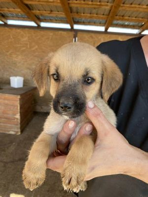 541200124 24537310212576241 4356000144636563879 n