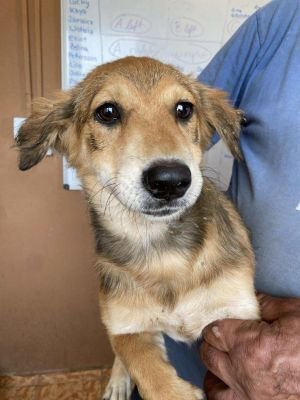 541225123 1530553074987703 7228948600521539262 n