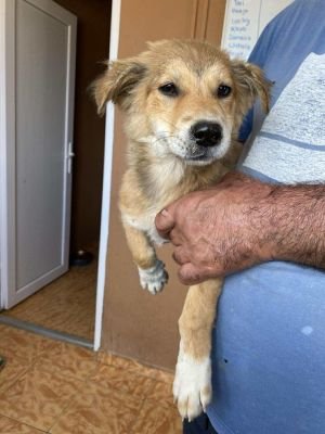 541250757 820470370412542 2518357412672604893 n