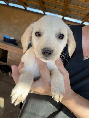 541337155 24537438095896786 338385211260506852 n