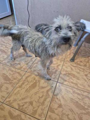 541416669 30981669238146438 5953415686364624610 n