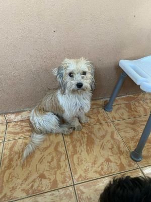 541424986 3123092461192464 9219587067850778997 n