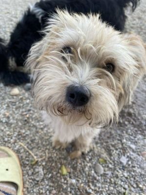 541440298 800252879010460 8541648012590684128 n