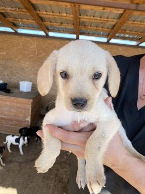 541505245 24537251429248786 1861058753882901912 n