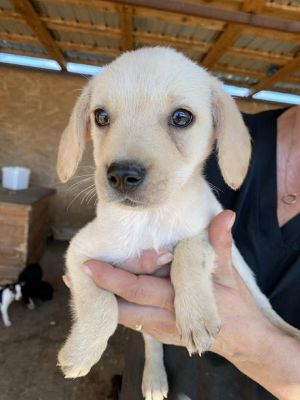 541522776 24537251809248748 5418864579309828736 n