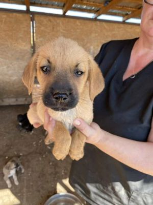 541528209 24537338252573437 7841376879933009918 n