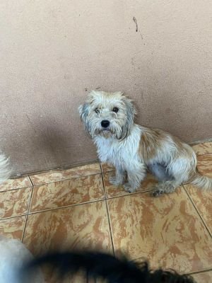 541556687 1495348345215910 188606193079299239 n