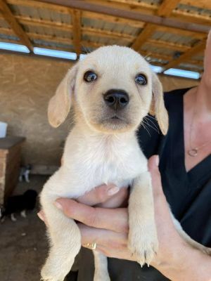 541683359 24537251952582067 6328821499669909720 n