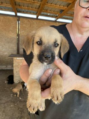 541751384 24537310025909593 5318650924904804235 n