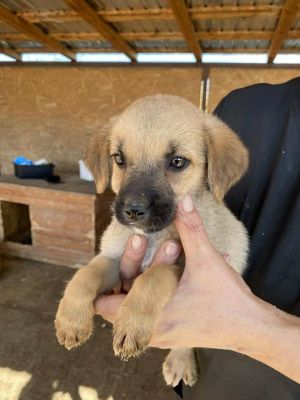 541778220 24537309812576281 7335426908159783631 n