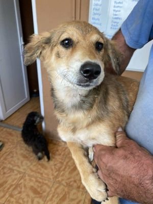 541784400 2096304077560128 3515747561972907055 n