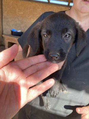 541791010 24537403402566922 7885354089003197825 n