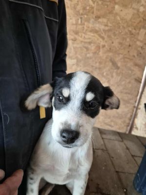 541946003 1310719553973591 4098481213526171106 n