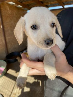 541984631 24537437812563481 7349146431502256479 n