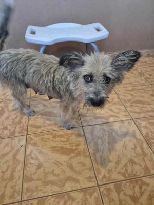 542239149 30981669261479769 7311382589623716944 n