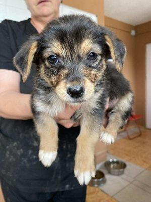 542412013 1456151782285089 6501438421965589755 n