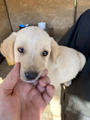 542416009 24537371249236804 8128905430837656660 n