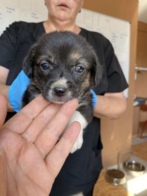 542506997 1296453048630218 8457211907151830853 n