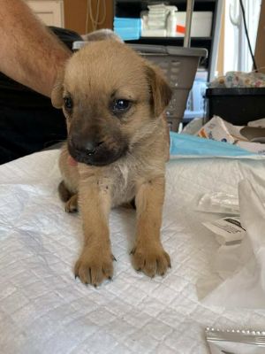 542673576 24537338995906696 6880330256679793859 n