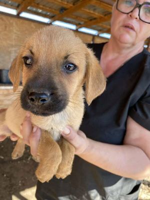 542678154 24537338759240053 8560601049988939056 n