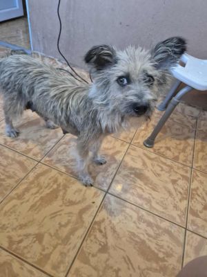 542758279 30981669508146411 448669570208300382 n