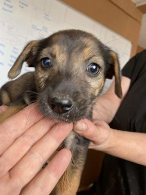 542962925 1327895295441100 5839600761780106384 n